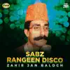 Zahir Jan Baloch - Sabz Rangeen Disco, Vol. 201